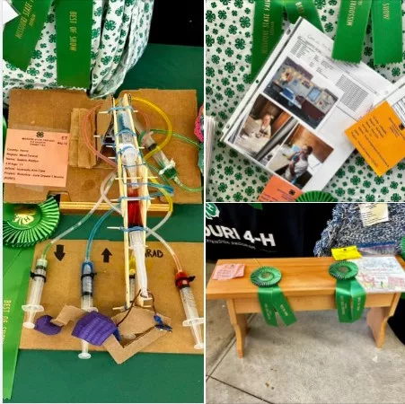 4h-best-show-all834235