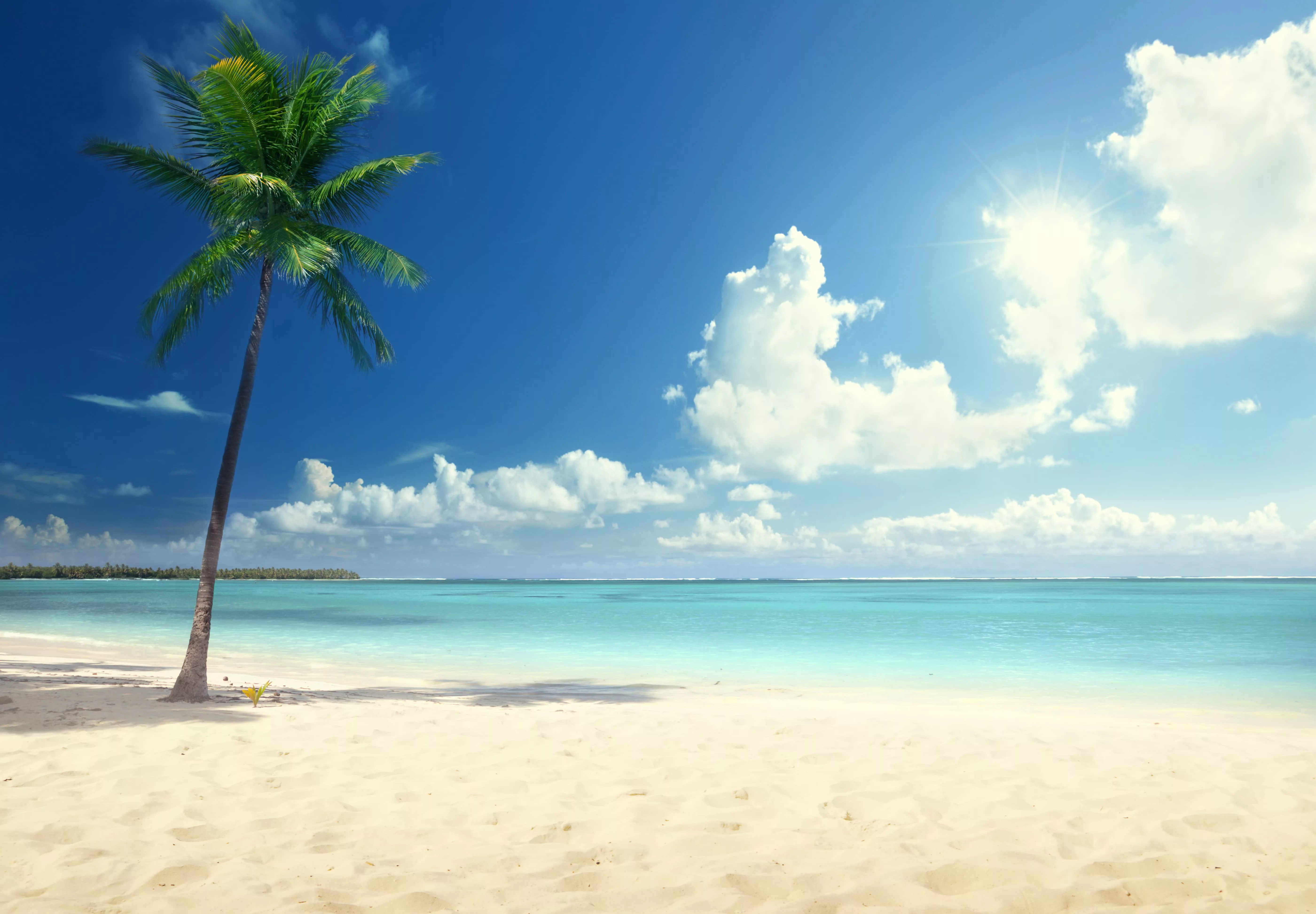 shutterstock_1112809442716374
