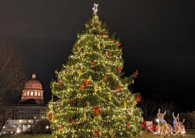 christmas-tree864318