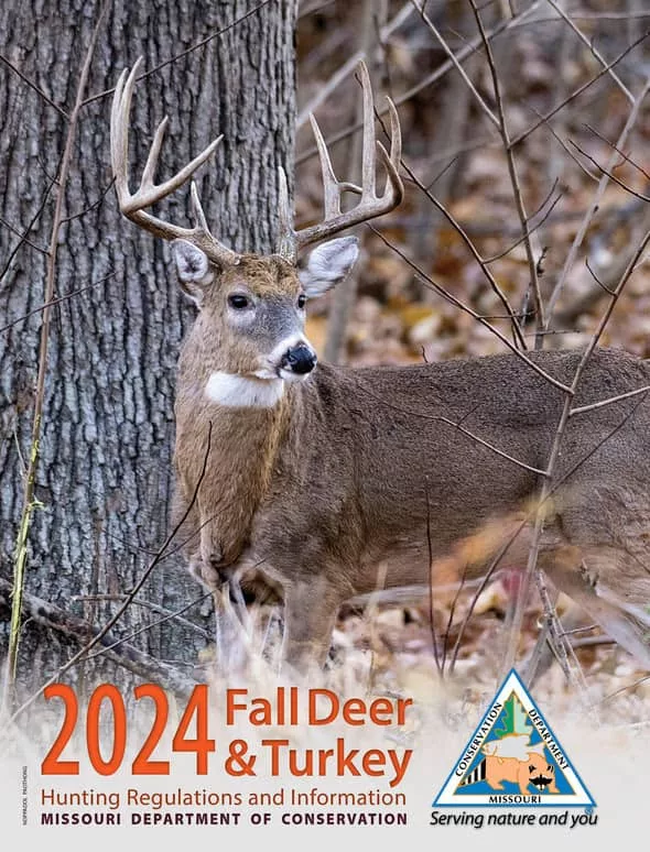 mdc-deer929639