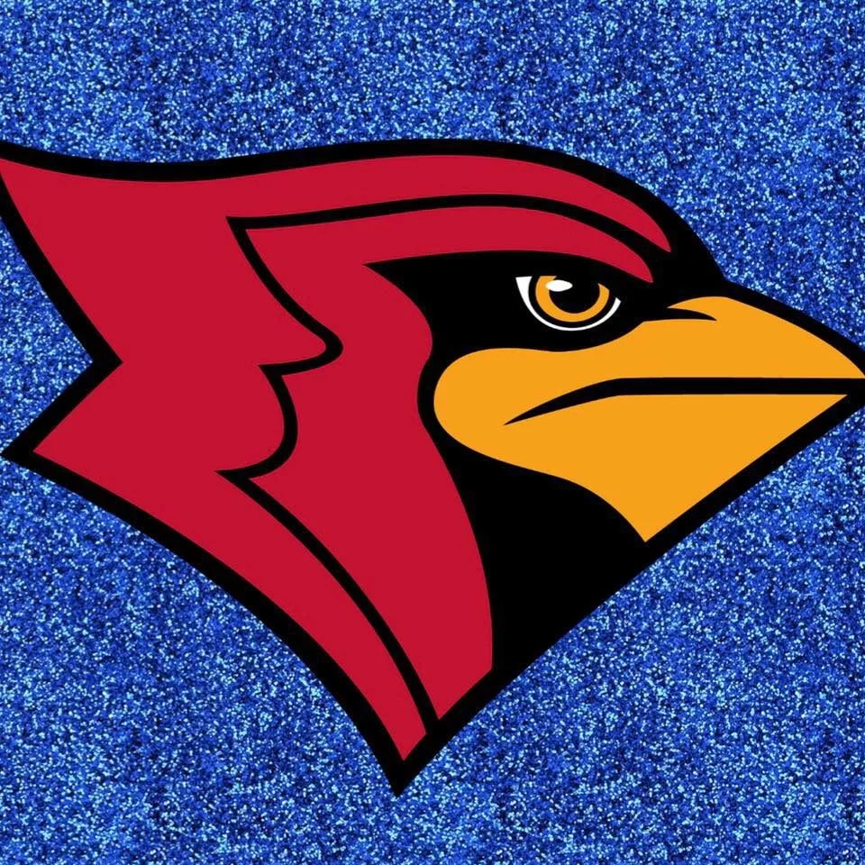 cardinal-with-blue-background877426