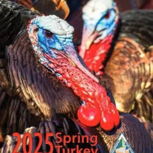 mdc-turkey634737