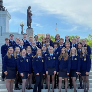ffa-corn573262
