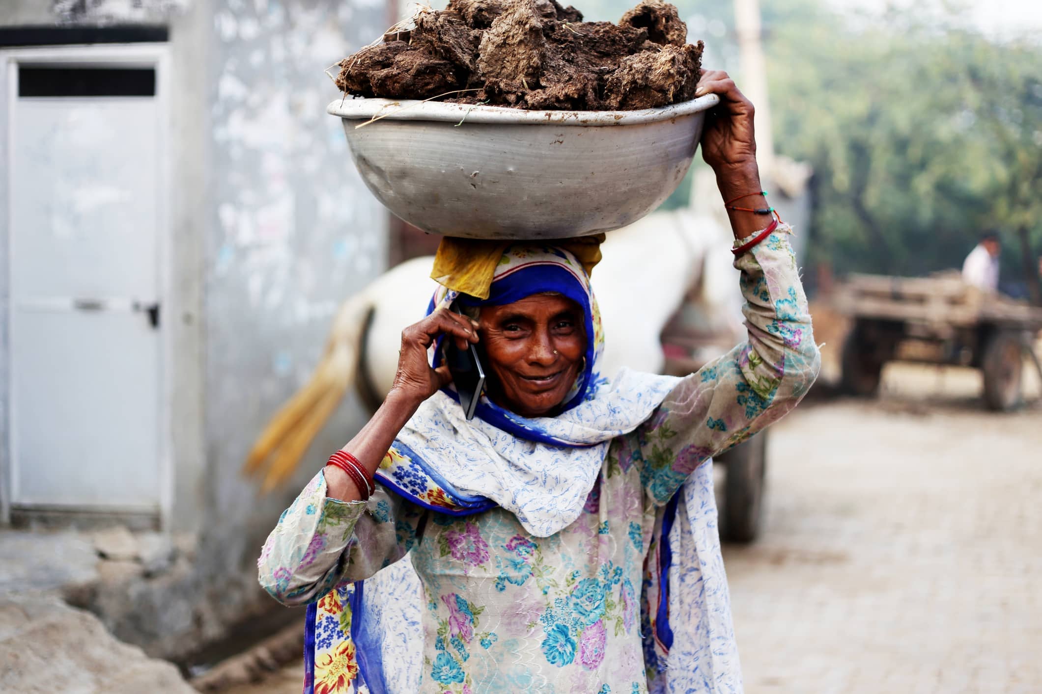 old-women-carrying-cow-dung-and-talking-on-phone