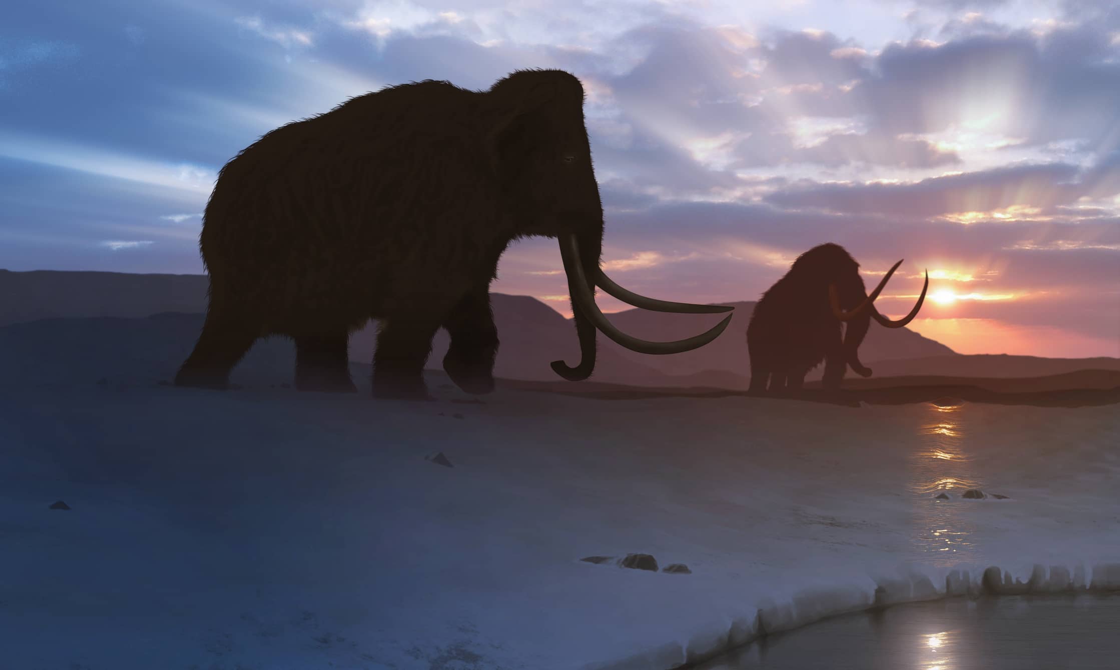 artwork-of-the-tundra-mammoth