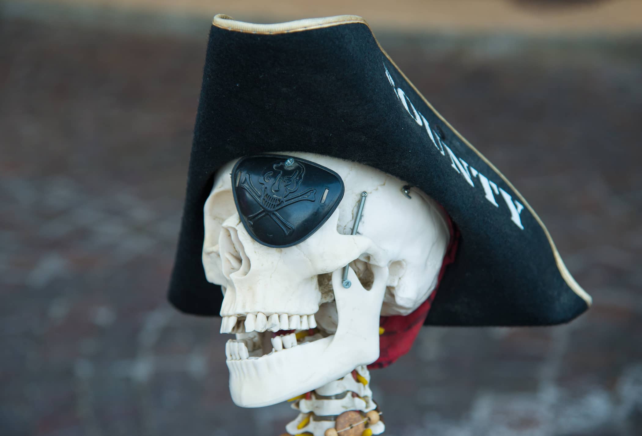 jolly-roger-skull-in-pirate-cocked-hat-%d1%81aricature-of-death