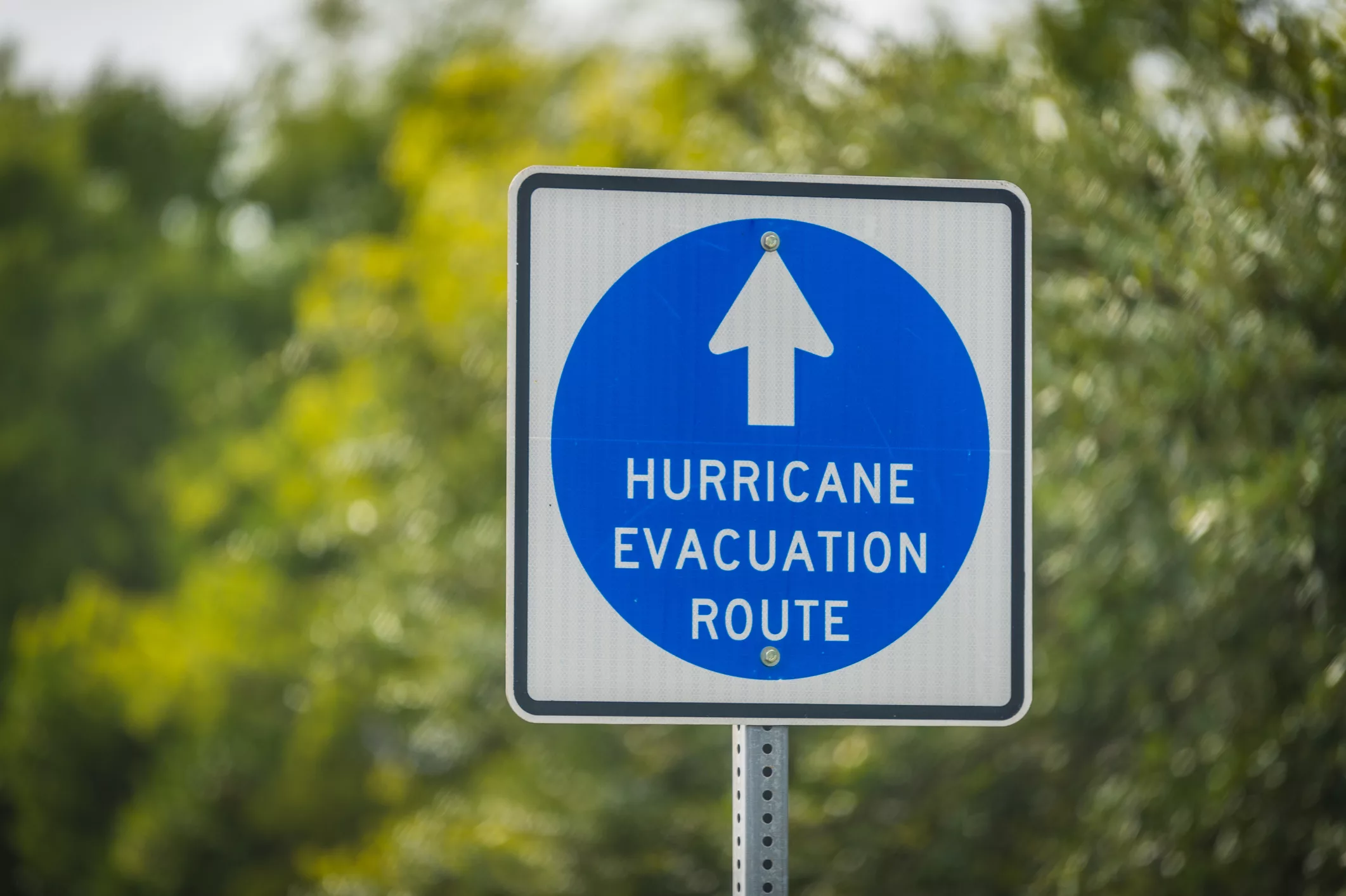 hurricane-evacuation-route-sign