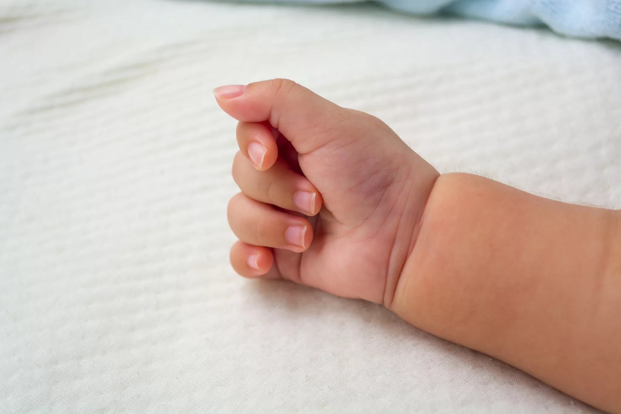 hands-of-a-newborn-baby-little-hands