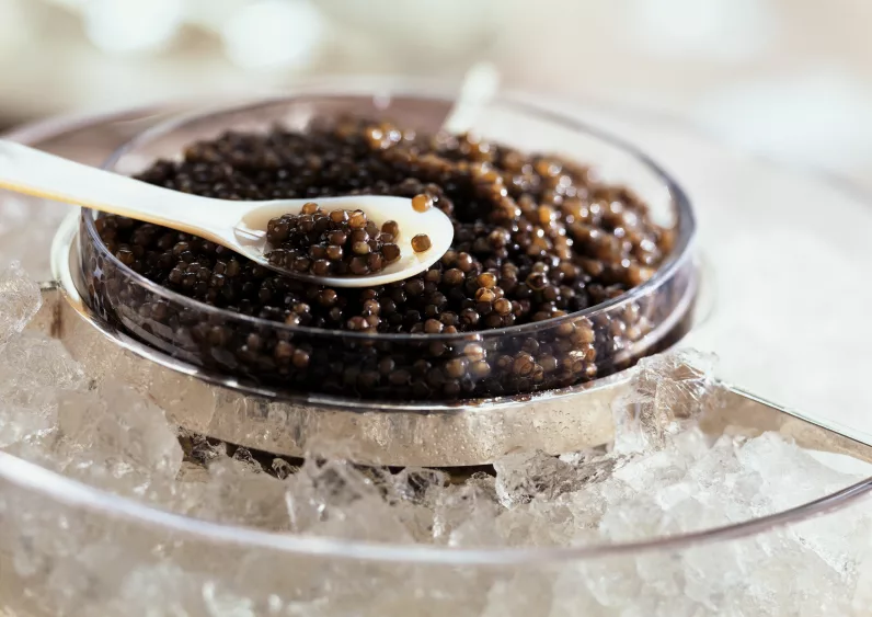 caviar-in-ice-and-on-white-spoon-close-up