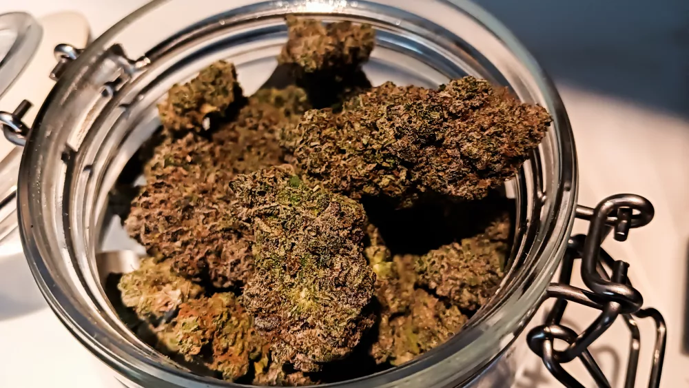 cannabis-flowers-in-jar