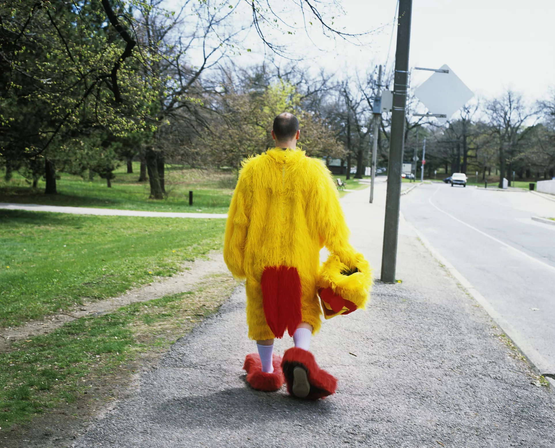 man-in-chicken-suit-walking-in-park-rear-view