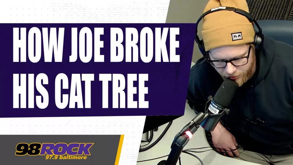 jssjoecattree