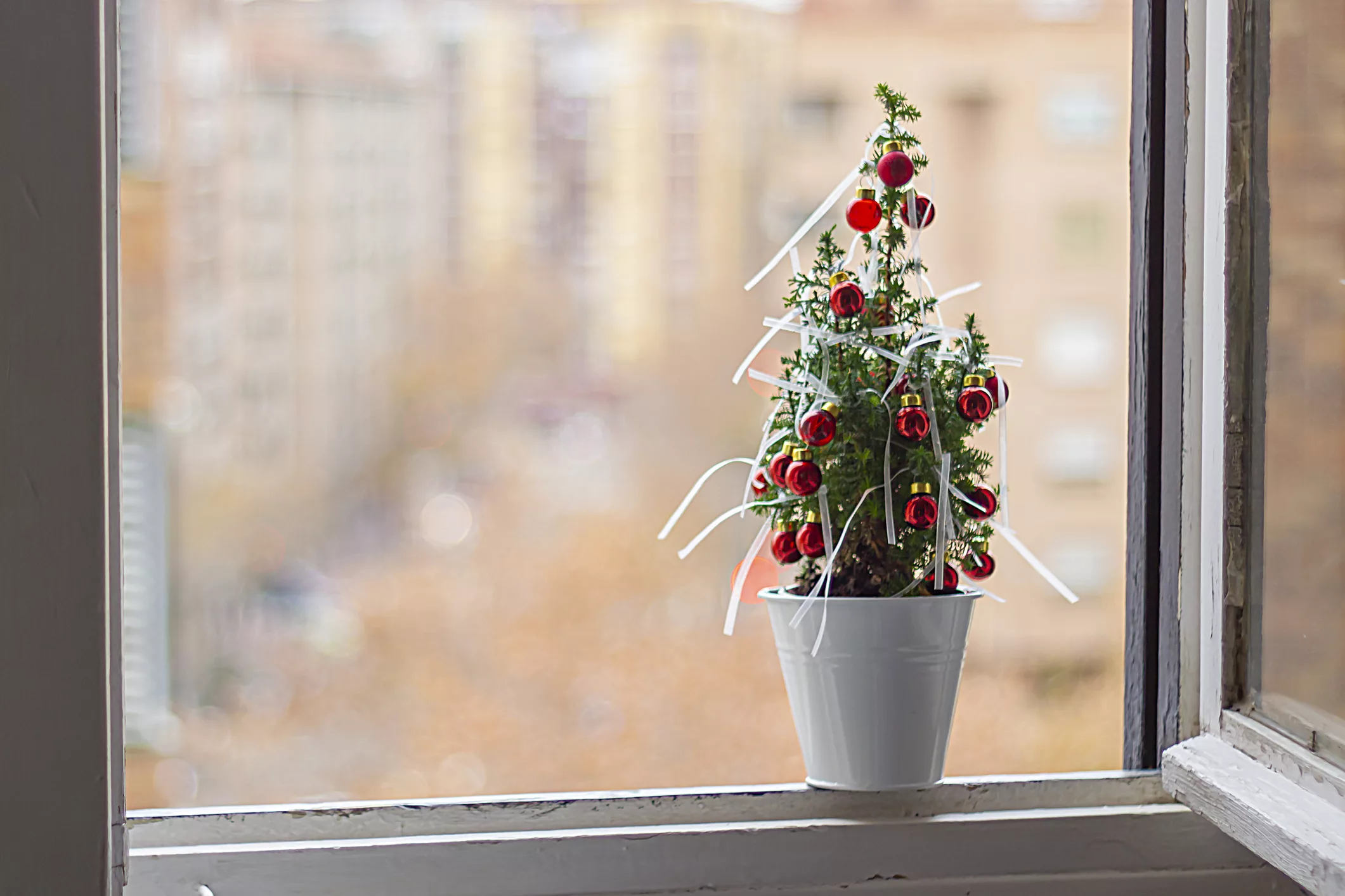 little-tree-with-christmas-decorations-on-a-window-sill