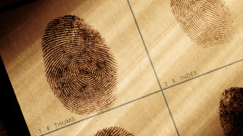 Are fingerprints unique? Not really, AI-based study finds | 98 Rock Online