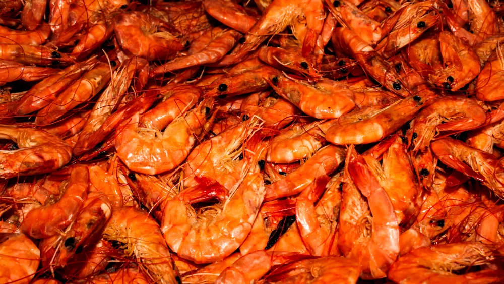 dried-red-shrimp