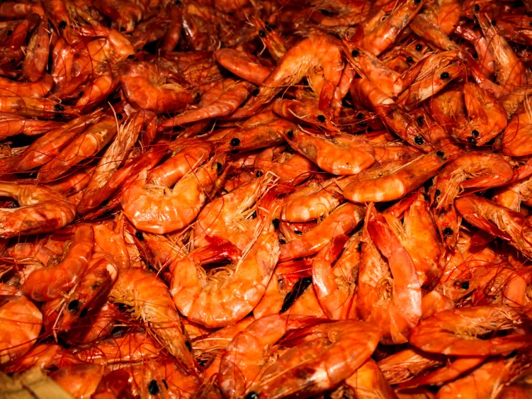 dried-red-shrimp