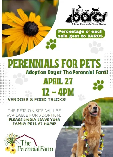 Perennials for Pets