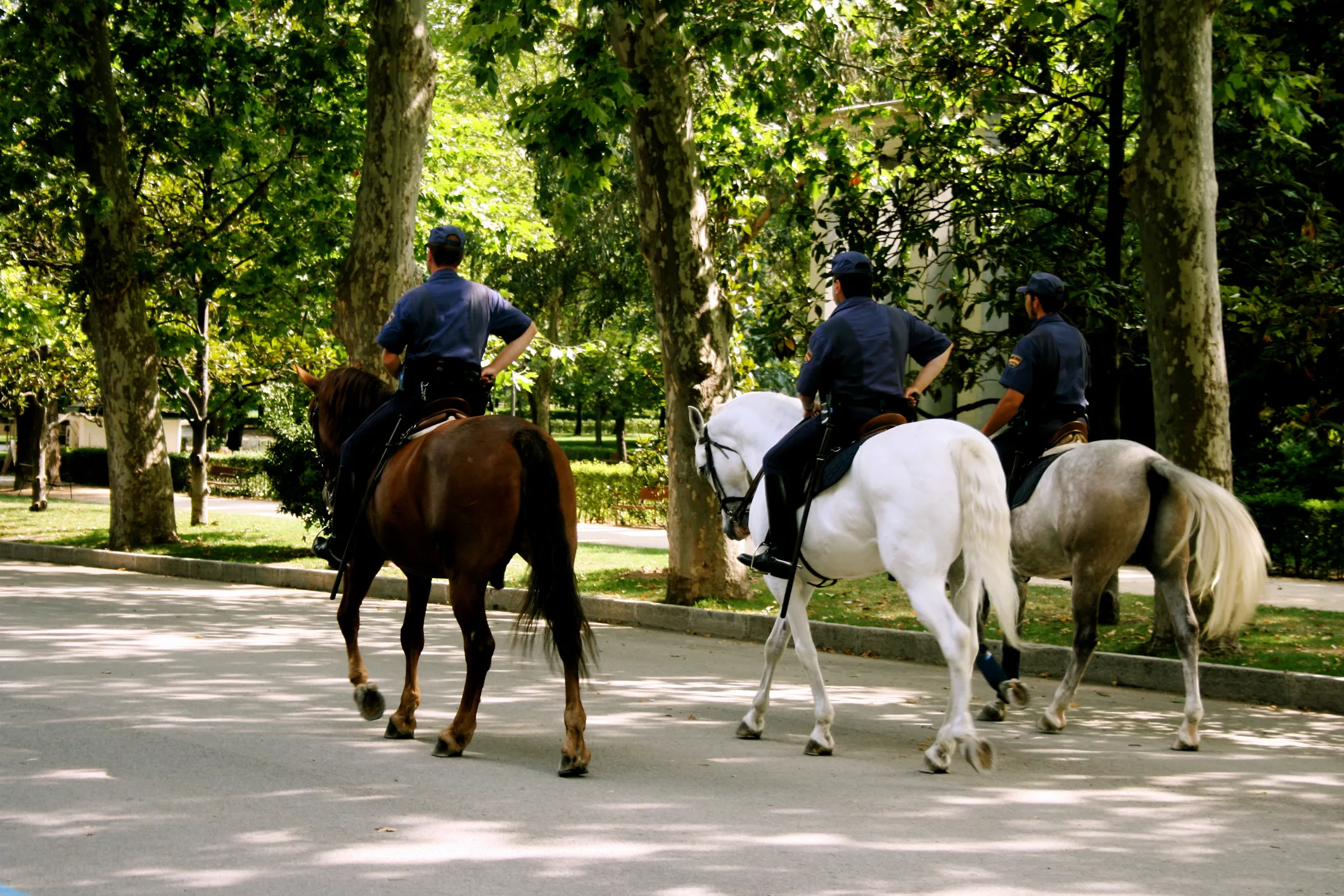 police-in-the-park