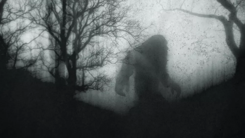 a-dark-scary-concept-of-a-mysterious-bigfoot-figure-walking-through-a-forest-silhouetted-against-trees-on-a-foggy-winters-day-with-a-grunge-textured-edit