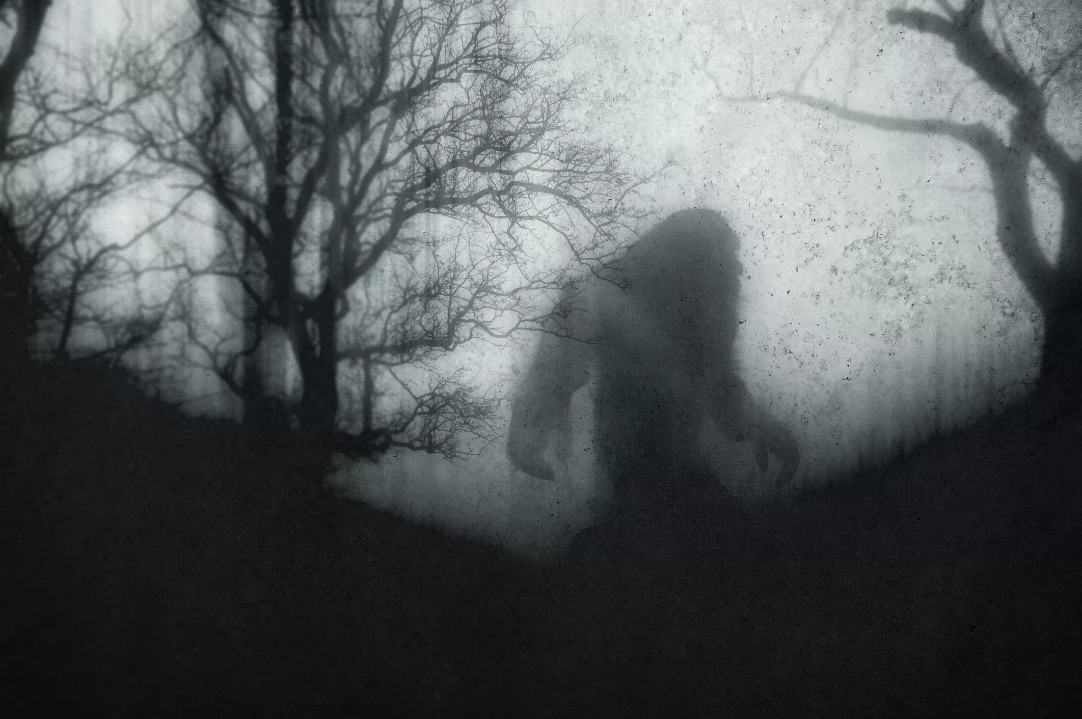 a-dark-scary-concept-of-a-mysterious-bigfoot-figure-walking-through-a-forest-silhouetted-against-trees-on-a-foggy-winters-day-with-a-grunge-textured-edit