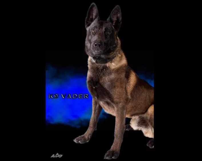 k9vader-66ac12dd37a85712358