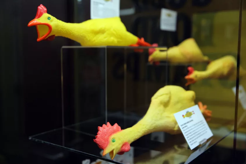 chickens-on-display-at-the-archie-mcphees-rubber-chicken-museum-thursday-may-17-2018-genna-martin-seattlepi-com