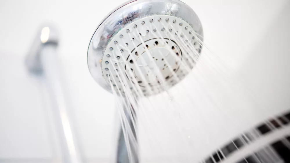 shower-head