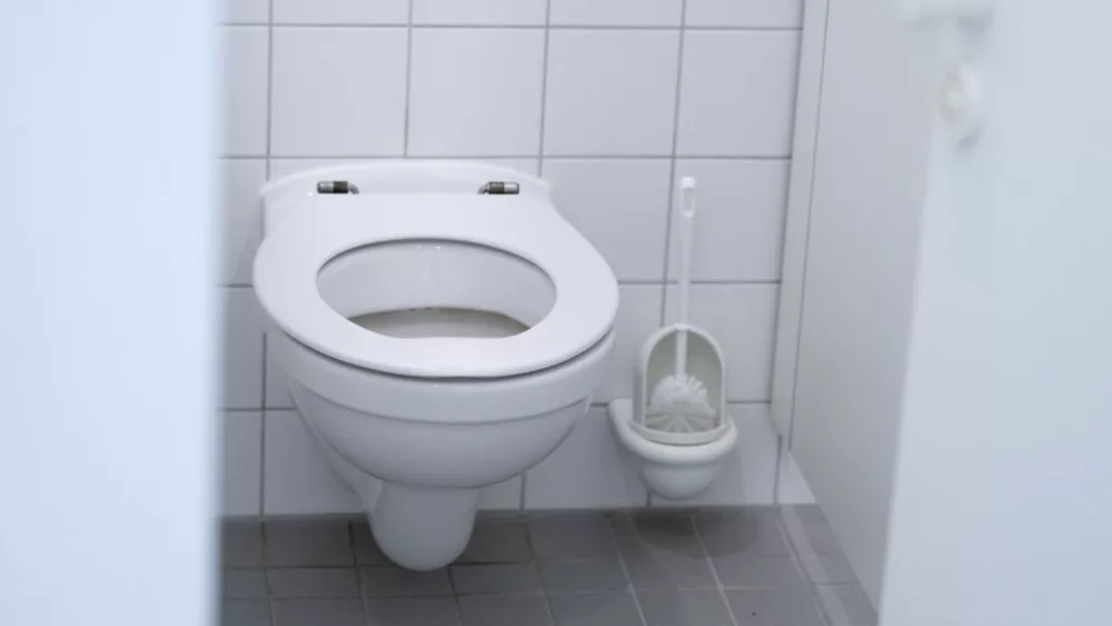 german-school-toilet-summit