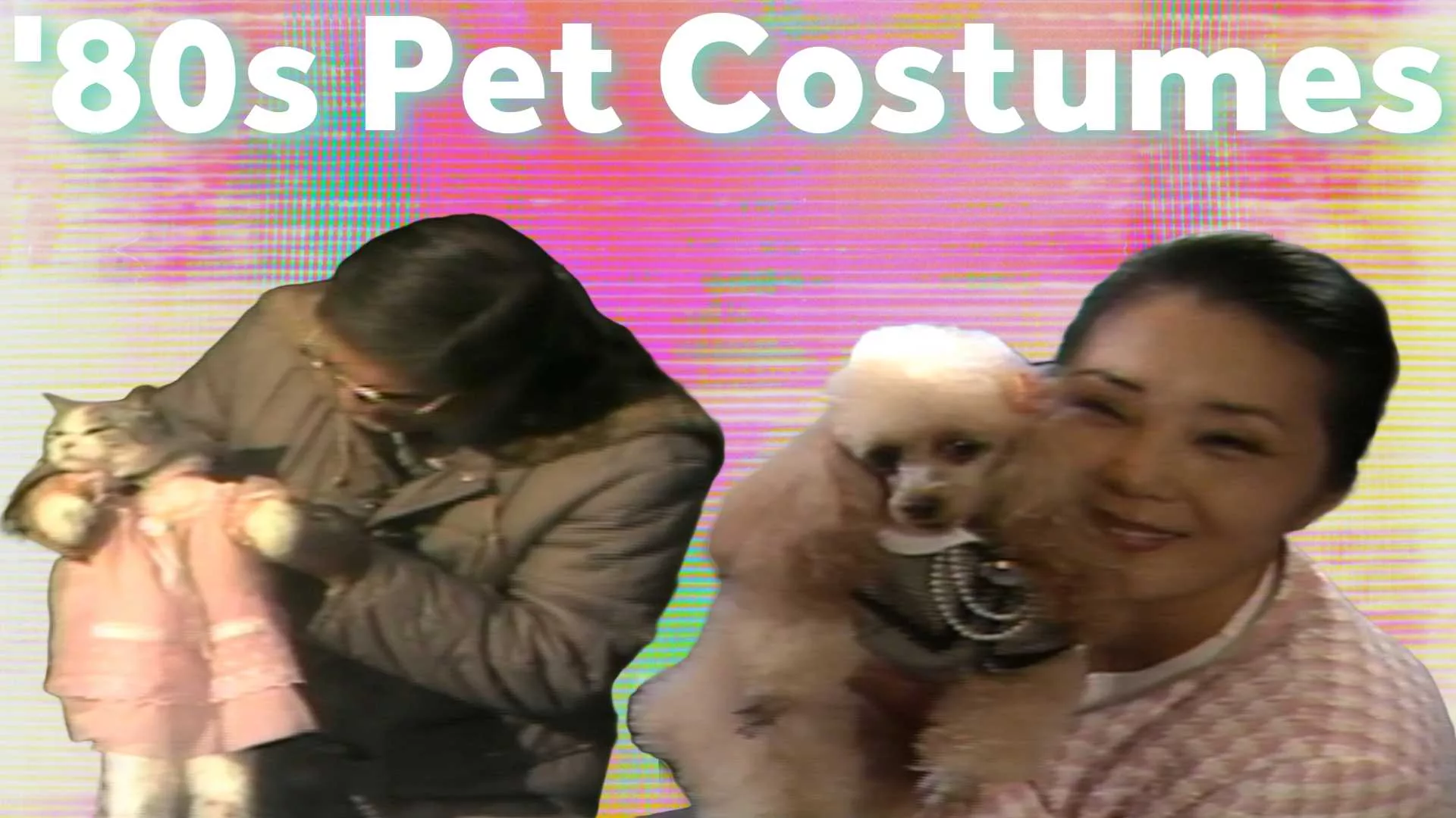 pet-costume-thumb-66fe99e5d7745266245