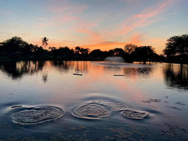 rippling-water-at-sunset-in-pond-west-palm-beach-florida