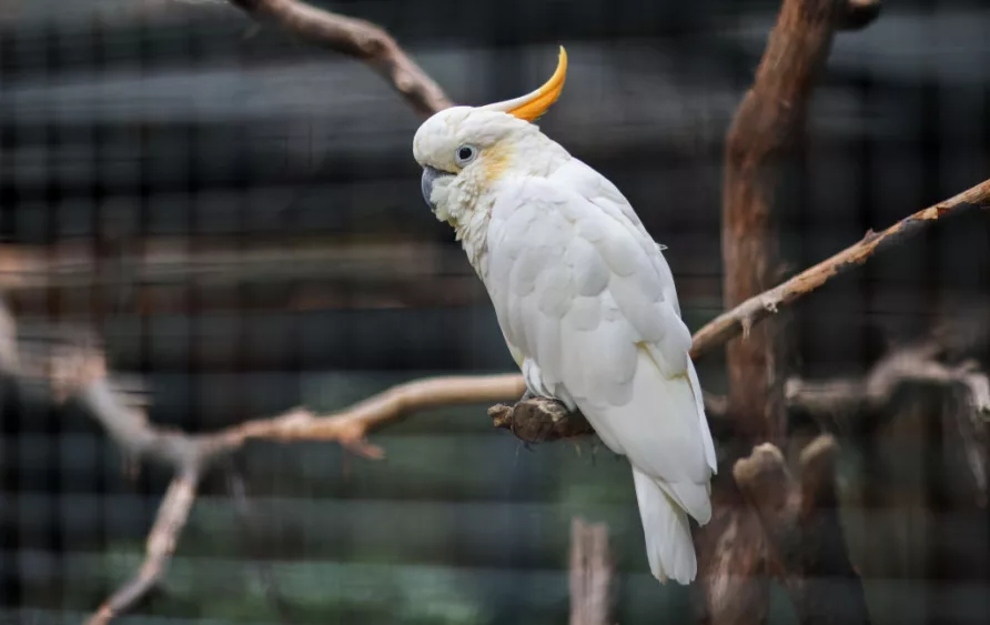 construction-progress-at-leipzig-zoos-tierra-del-fuego