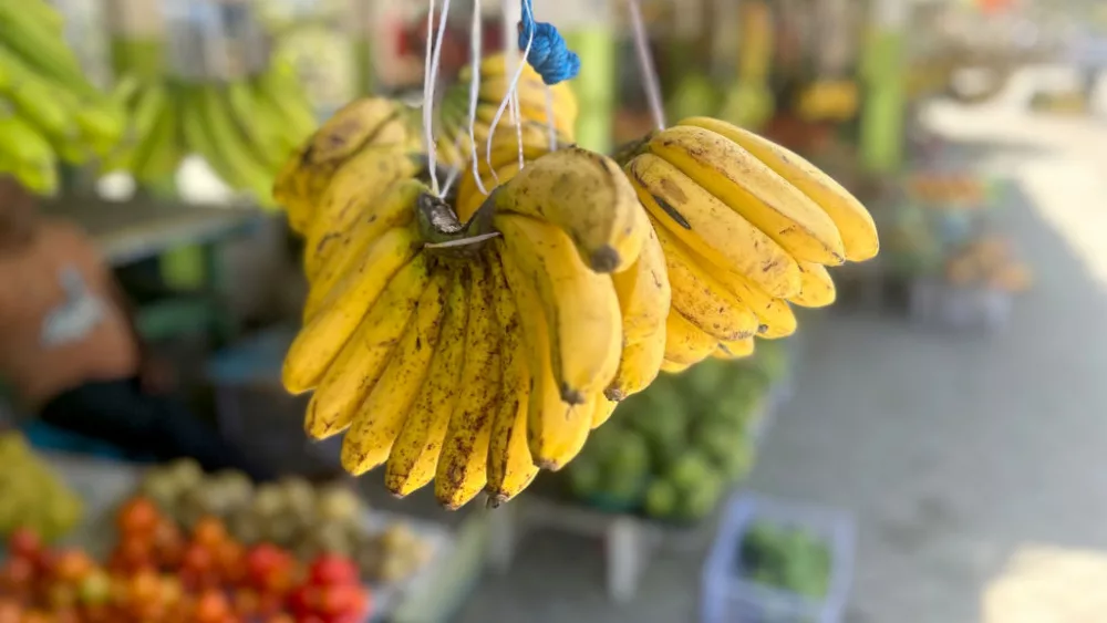 east-timors-capital-dili-market