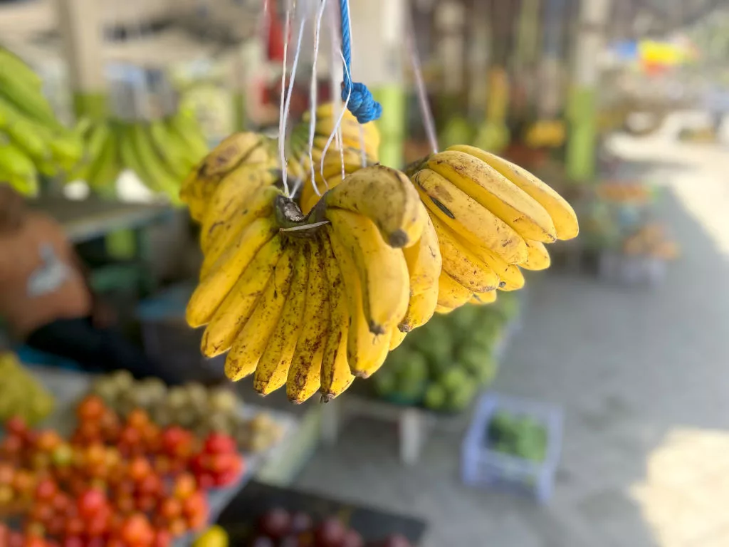 east-timors-capital-dili-market