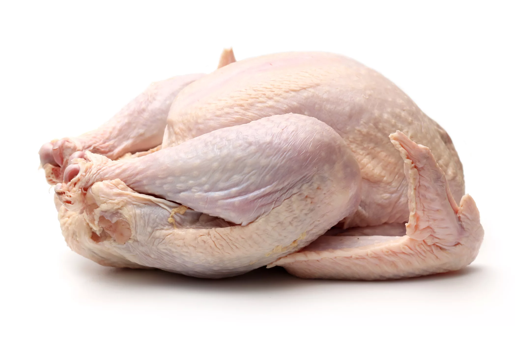 raw-turkey