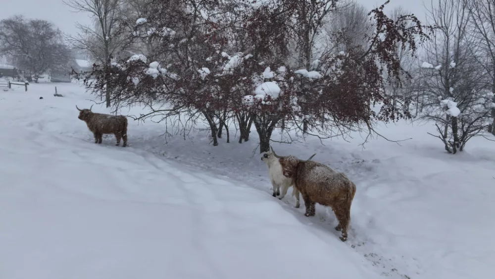 heavy-lake-effect-snowstorm-blankets-ohio