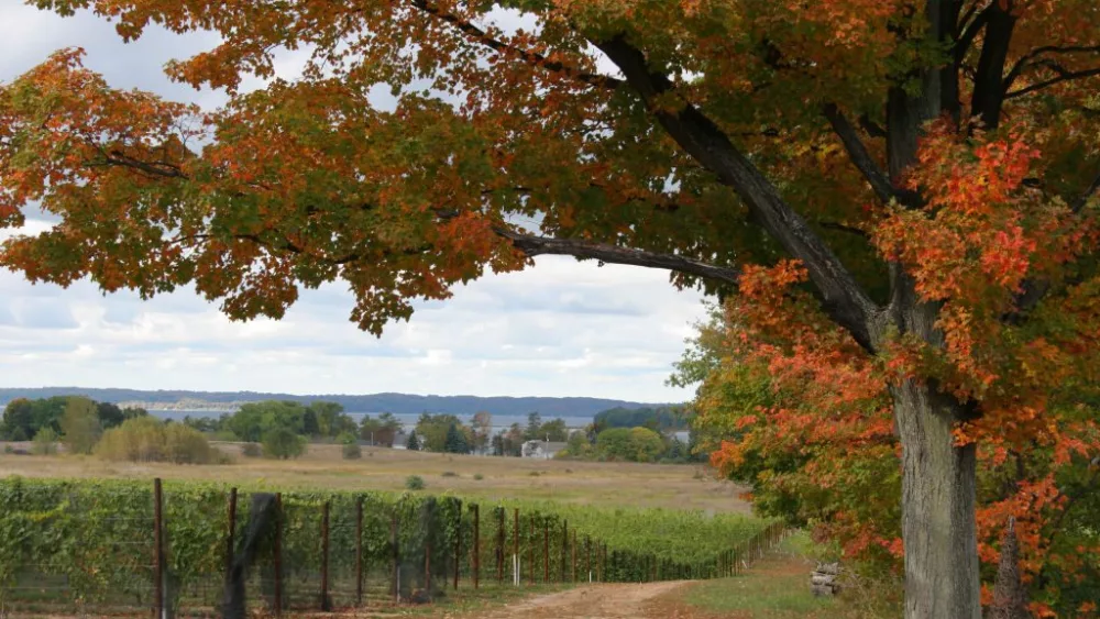 bowers-harbor-vineyards