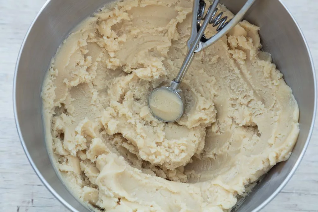 dough-from-dorie-greenspans-do-almost-anything-vanilla-cookie-dough