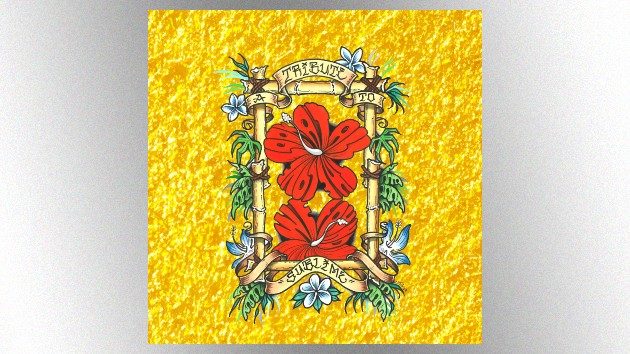 Sublime ピクチャーレコード SUBLIME ピクチャーレコード レコード