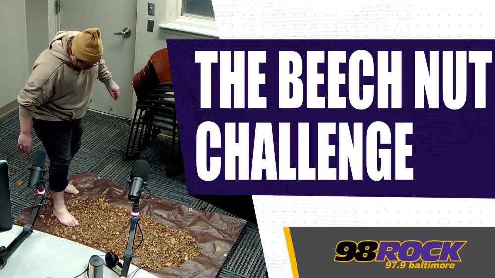 No Pain, No Gain: Can Joe Walk Across a Pile of Beech Nuts? | 98 Rock ...