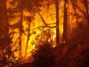 gettyimages_wildfire_080421