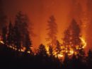 istock_082621_wildireheatwave