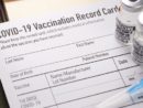 istock_102221_covidupdates
