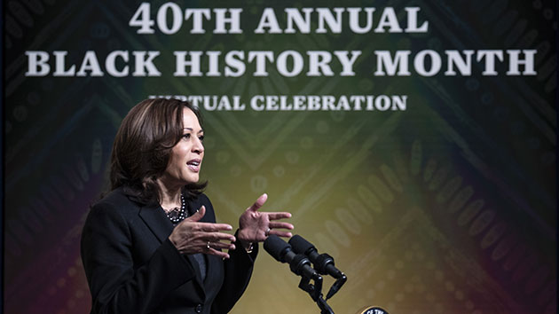 Here's a look at Black History Month television and streaming programming in February - Vimarsana News