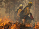 getty_72522_oakfirecali