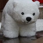 IMG_8719-e1550647827582