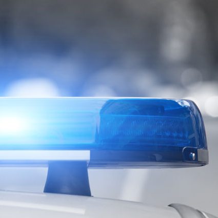 trooperrescuesdogfrombusyhighway-e1523275362720-4