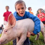 abingdon-fest-150x150370401-1