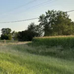 3250-n-seminary-field-150x150-1