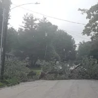 A large tree branch fell near Lombard Middle School during a storm Monday^ July 15^ 2024.