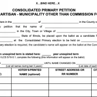 Election petition